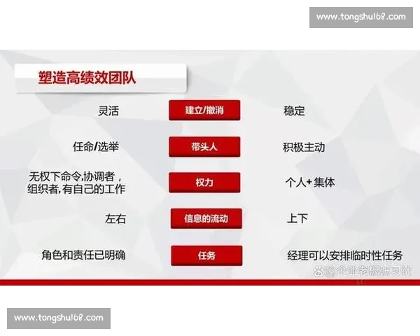 打造高效协作氛围提升团队整体战斗力与执行力的策略