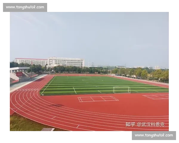体育职业发展路径与个人成长规划全面指导方案